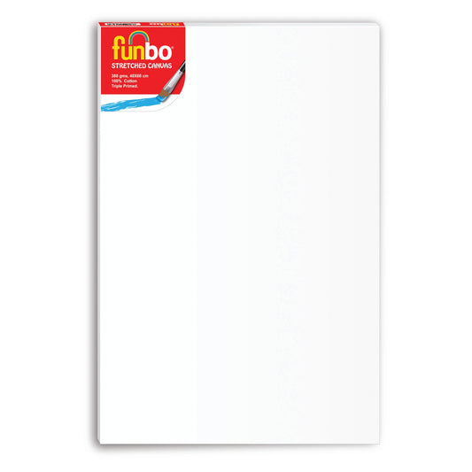 Funbo Stretched canvas 380 gms 50X50 cm 2pcs