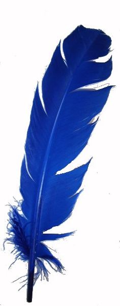 Sadaf Art and Craft Feather - Nejoom Stationery