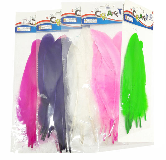 SADAF ART AND CRAFT PACK FEATHER 