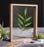 Wooden creative plant specimen decorative frame - Nejoom Stationery