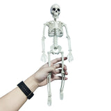 Active Human skeleton Model Anatomy Skeleton Skeleton Model Medical Learning Halloween Party Decoration Skeleton Art Sketch