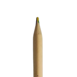 Triangular wooden pencil 4 colour in 1 pencil | Nejoom Stationery